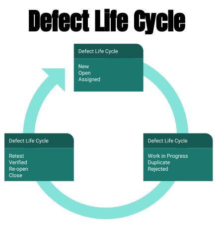 bug life cycle